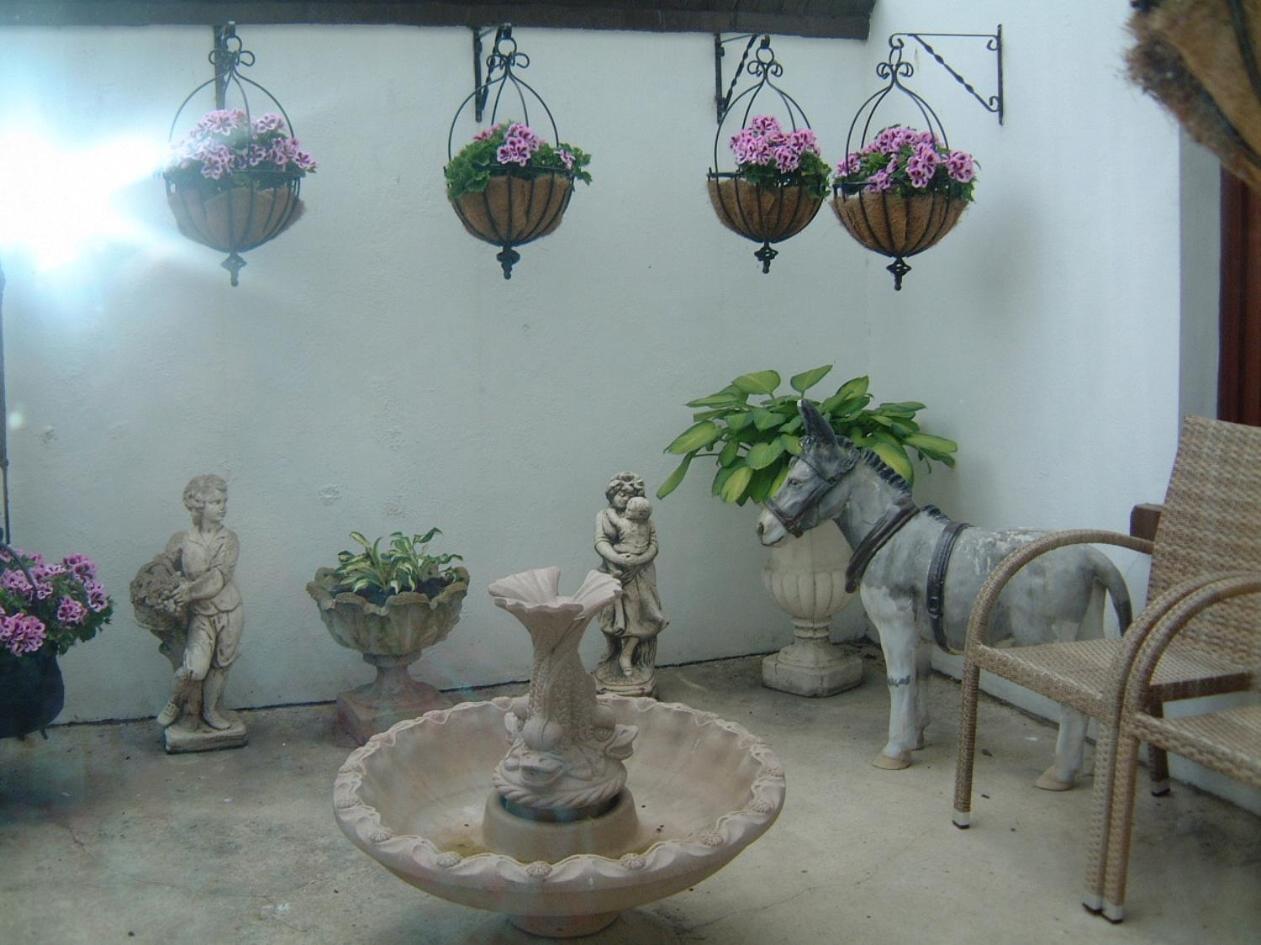 Manor House B And B Larne Luaran gambar