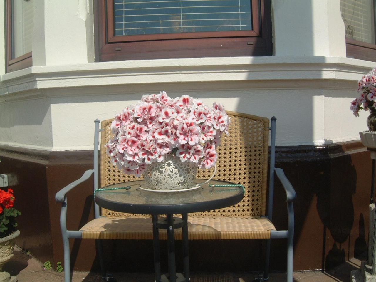 Manor House B And B Larne Luaran gambar